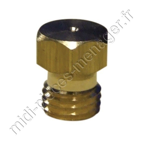 injecteur butane diametre 70 ariston C00033835