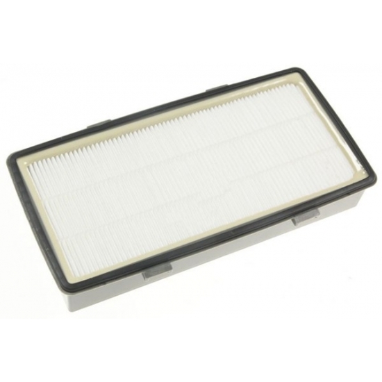 RS-RT4310 - filtre hepa aspirateur xtrem power cyclonic silence force rowenta