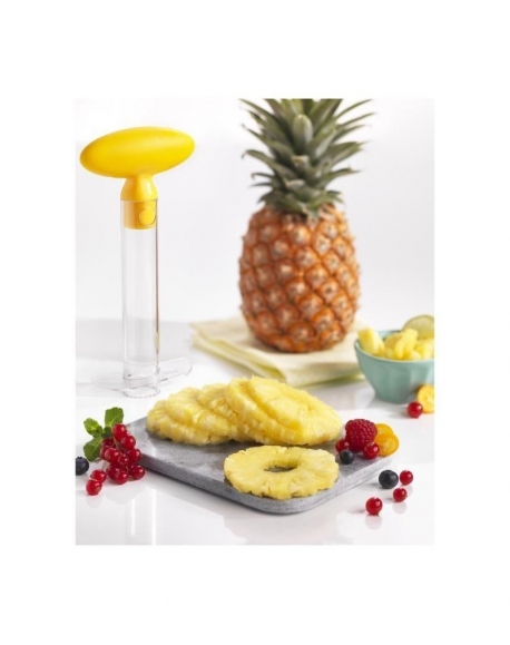 decoupe ananas  TEFAL K2080714