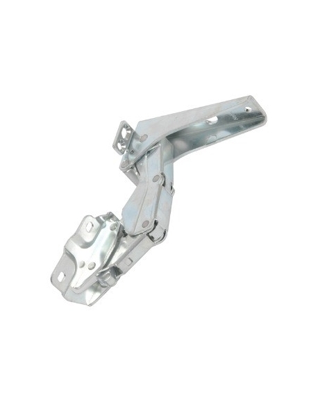 charniere de porte electrolux 2211258013