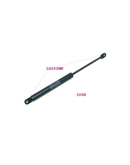 verin 300N porte micro-ondes indesit scholtes C00136997