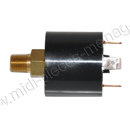 pressostat de centrale vapeur filtetage 1/8 5228101300