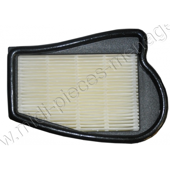 filtre hepa H12 lavable pour aspirateur electrolux sansac 1096879000