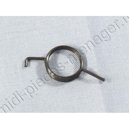 ressort bouton blender kenwood bl760 bl770 KW712725