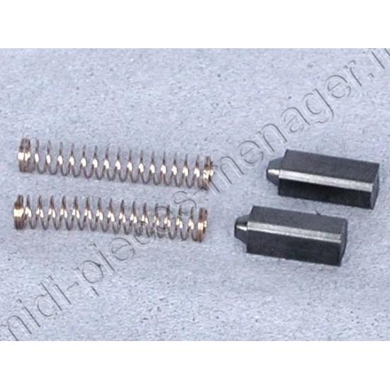 charbons moteur hachoir kenwood KW650439