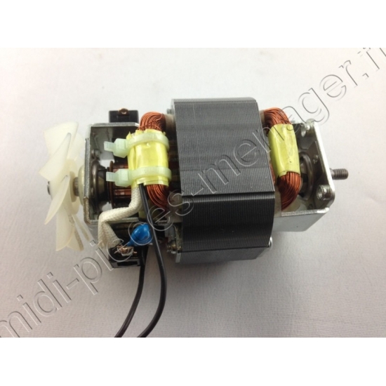 moteur blender multi mini LM12 BL12 moulinex SS-193044