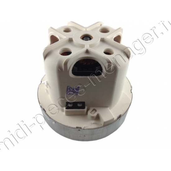 moteur domel pour aspirateur xtrem power et cleancontrol rowenta RS-RT2852