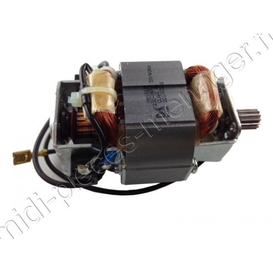 moteur pour hachoir fresh express max DJ810 moulinex SS-194022