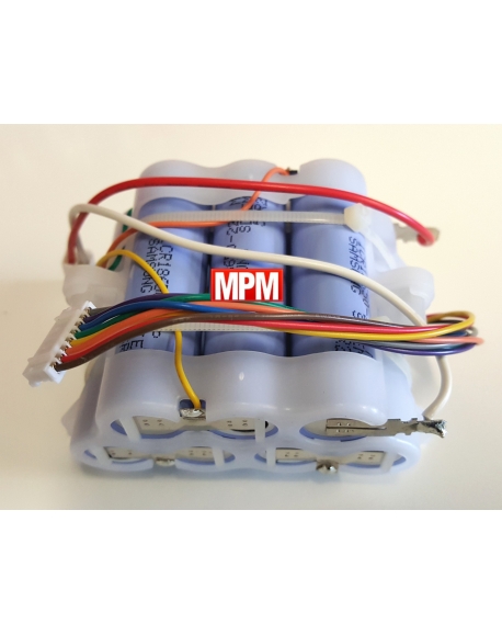 batterie aspirateur balai colombina XLR25LM delonghi 5519210741