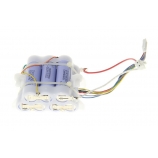 batterie aspirateur balai colombina XLR25LM delonghi 5519210741