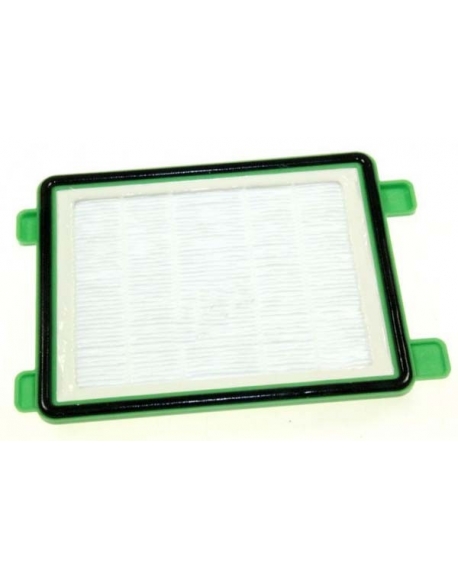 filtre hepa vert aspirateur rowenta RS-RT2480