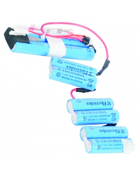 Kit batterie pour aspirateur balai ergorapido electrolux 4055132304