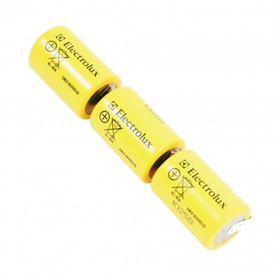 Kit batterie pour aspirateur ergorapido electrolux 4055019097