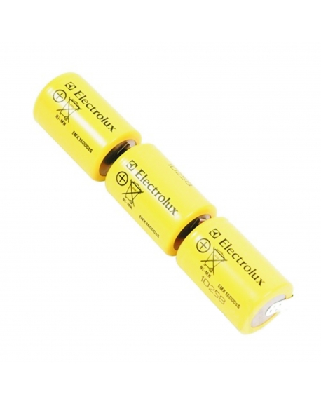 Kit batterie pour aspirateur ergorapido electrolux 4055019097