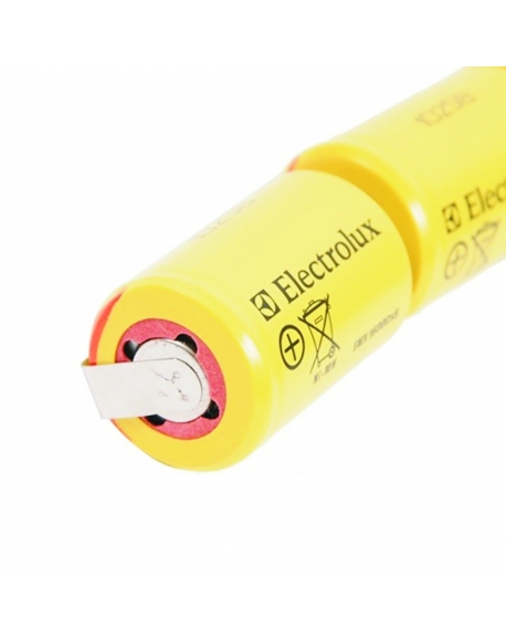 Kit batterie pour aspirateur ergorapido electrolux 4055019097