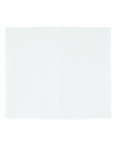 EF2 Microfiltre Universel pour Aspirateur electrolux 9000343138