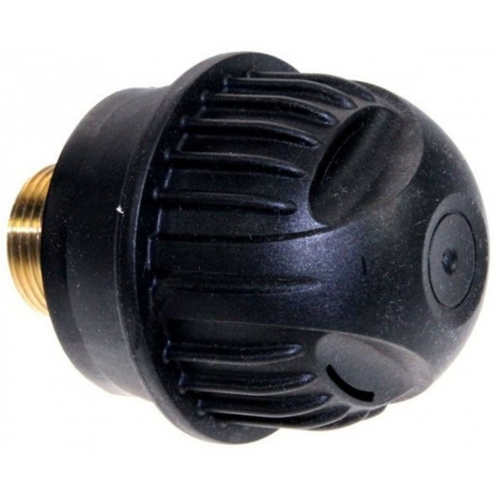 bouchon fer a repasser Karcher 45900930