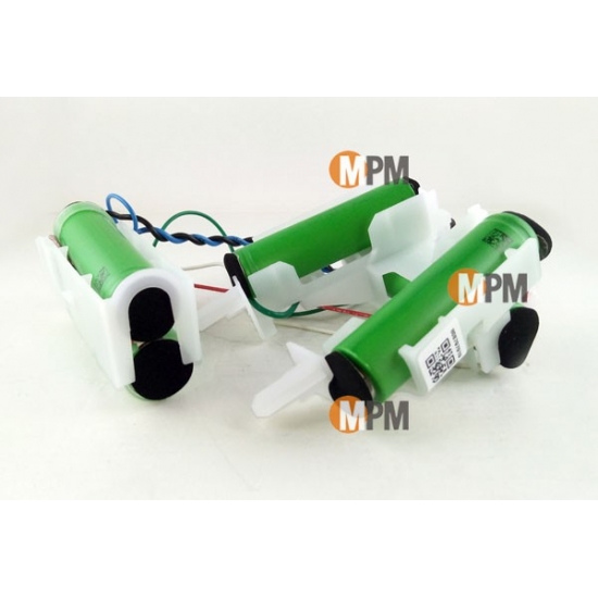 14011252303/4 - Batteries 18V LI aspirateur sans fil Ergorapido EER75STM Electrolux