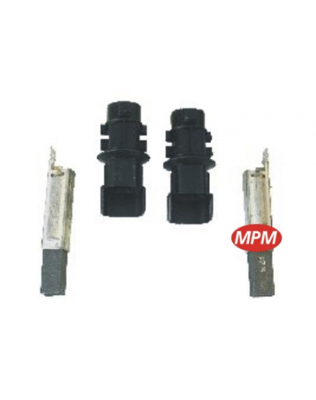 2 charbons + supports philips 481981728484