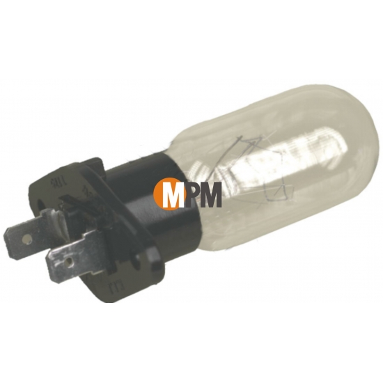 481913428051 - AMPOULE MICRO ONDES 25 W