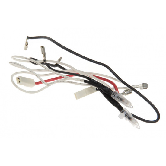 cablage lampe cafetiere expresso delonghi 5013275879