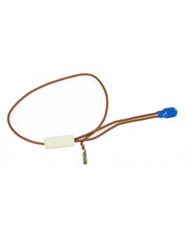 5213226691 - Protecteur thermique pompe robot...