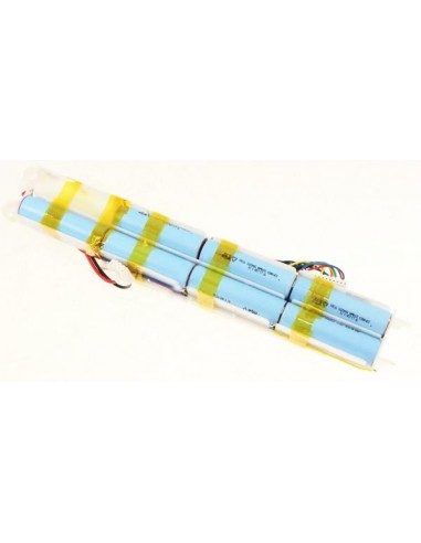 batterie li-ion 25V aspirateur air force RH91...