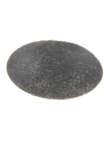 Filtre à charbon friteuse F262 delonghi 5512500259