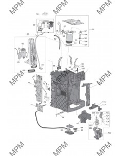 PRIMADONNA EXCLUSIVE...