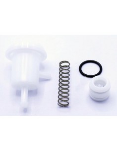 Piston + ressort +corps...