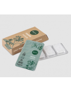 Pastilles parfumées Airumo - Elixir de forêt mystic woods