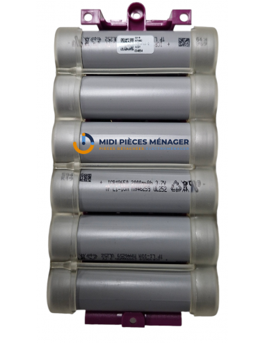 batterie li-ion 21.9V aspirateur air force 360 RS-RH5650