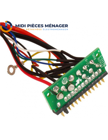 MOTEUR COMPLET POUR ASPIRATEUR ROWENTA SS-2230002503