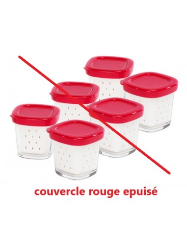 6 POT COUVERCLE ROUGE YAOURTIERE SEB XF100110