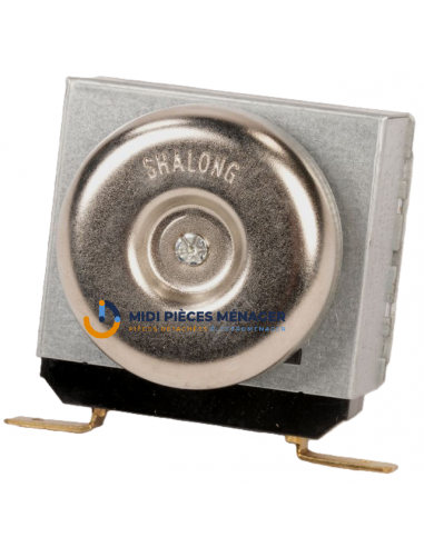 MINUTERIE 100 MN AC125V / AC220V 15A