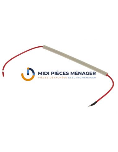 FUSIBLECUISEUR A RIZ ARIETE AS00000477