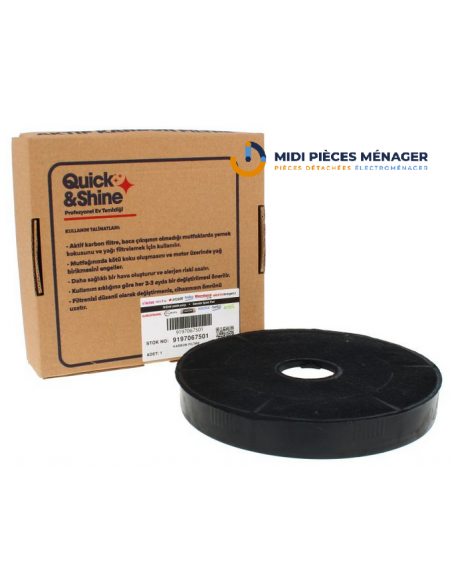 FILTRE A CHARBON POUR HOTTE ASPIRANTE BEKO C00990534