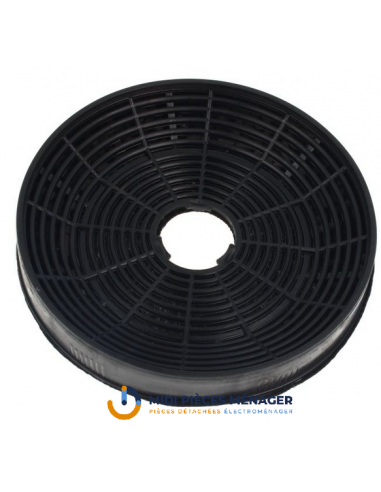 FILTRE A CHARBON POUR HOTTE ASPIRANTE BEKO C00990534