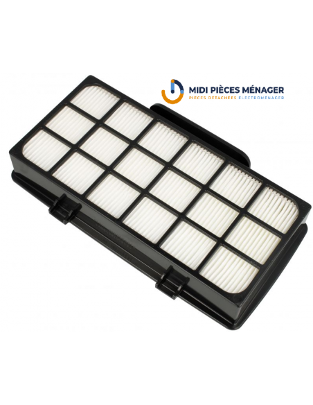 filtre hepa pour aspirateur rowenta ZR920101