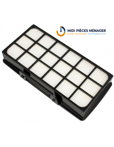 filtre hepa pour aspirateur rowenta ZR920101