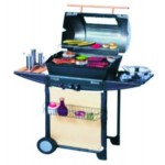 BARBECUE CAMPINGAZ VIRTUOSO 2000R