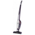 ASPIRATEUR BALAI SANS FIL ELECTROLUX ERGORAPIDO ZB3006